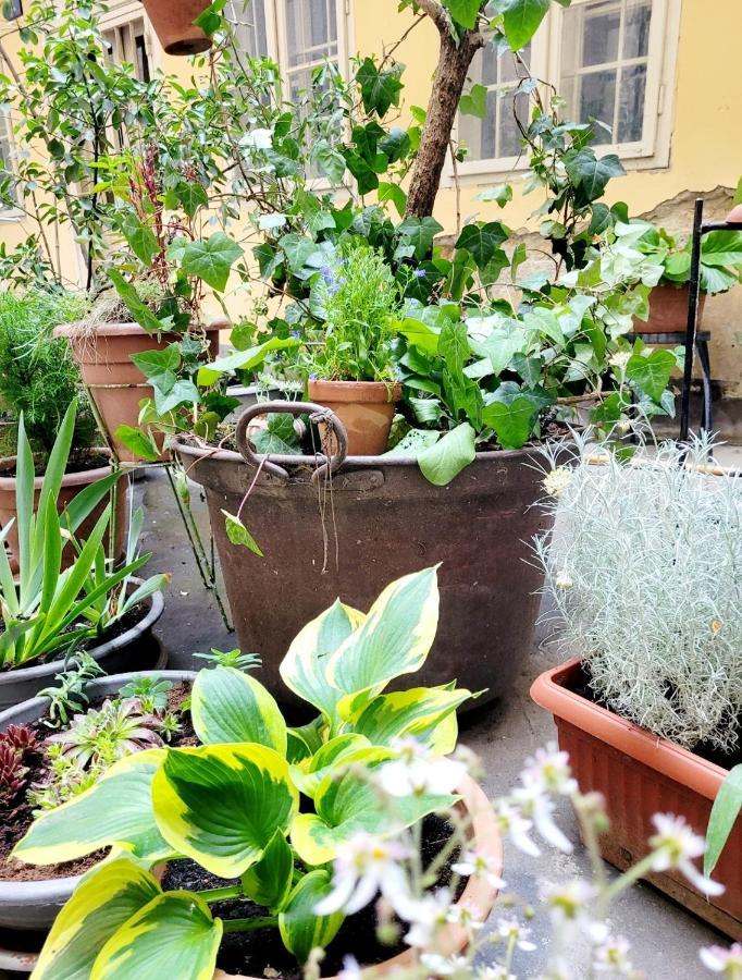 Secret Garden Apartment Zagreb Ngoại thất bức ảnh