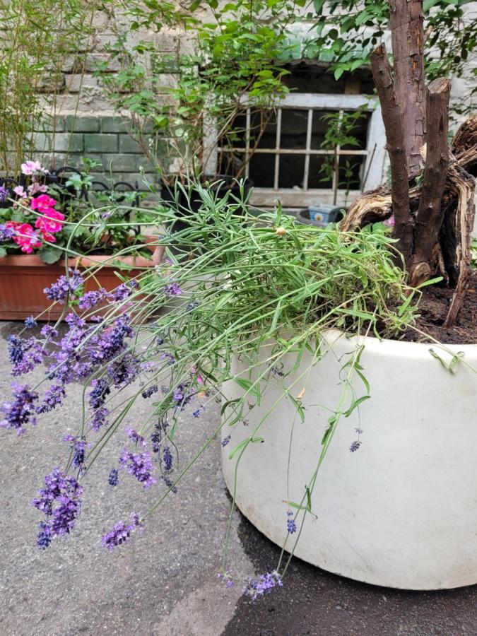 Secret Garden Apartment Zagreb Ngoại thất bức ảnh