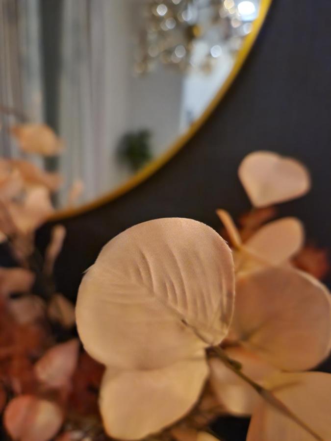 Secret Garden Apartment Zagreb Ngoại thất bức ảnh